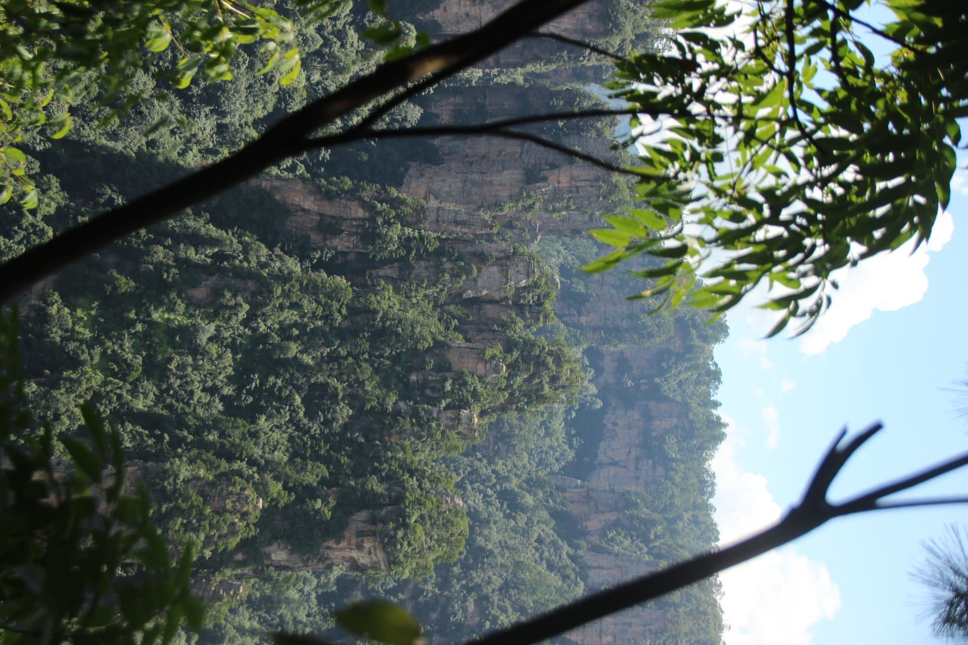 Bwindi Forest Landscape
