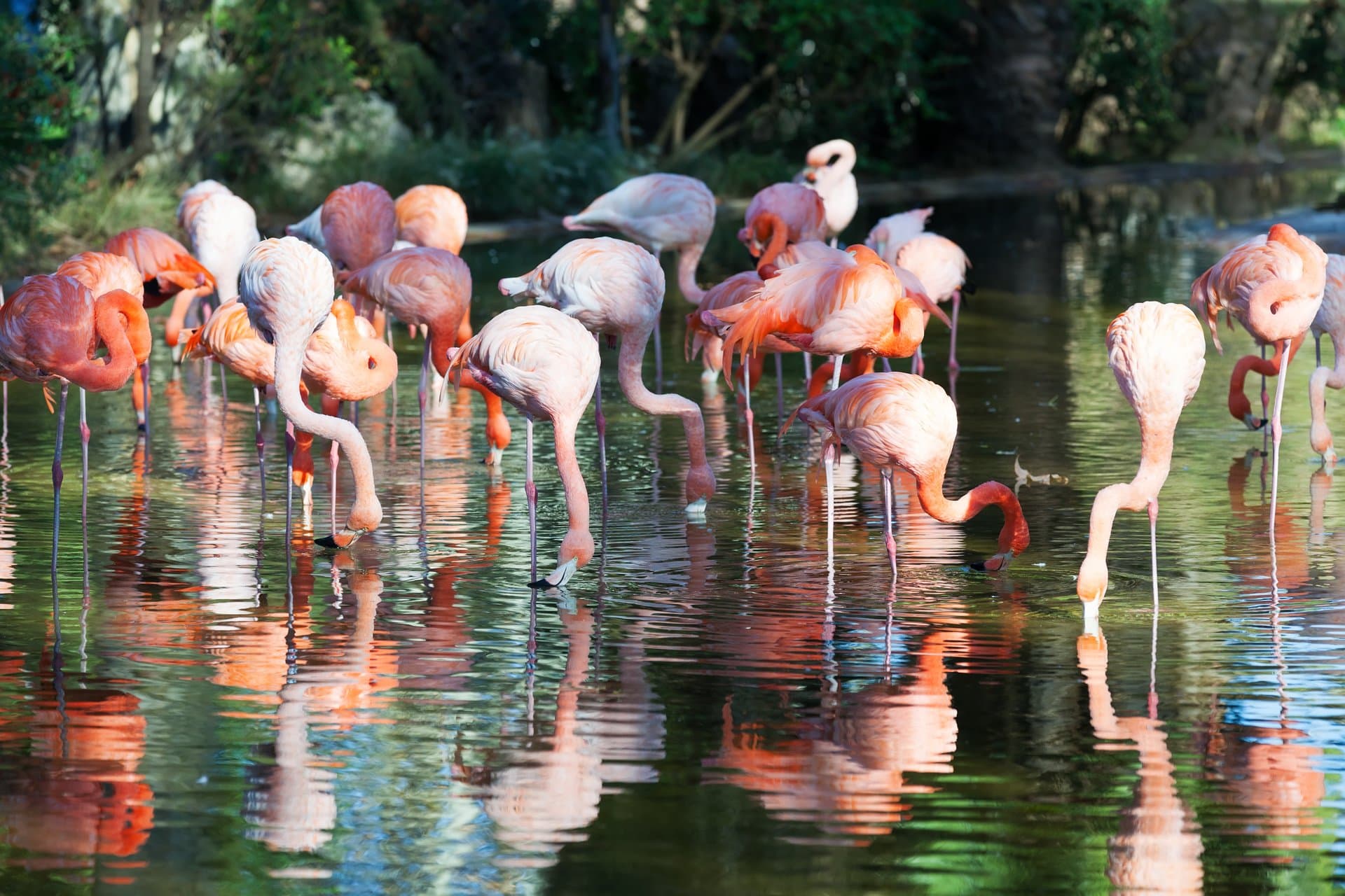 Birdwatching in East Africa