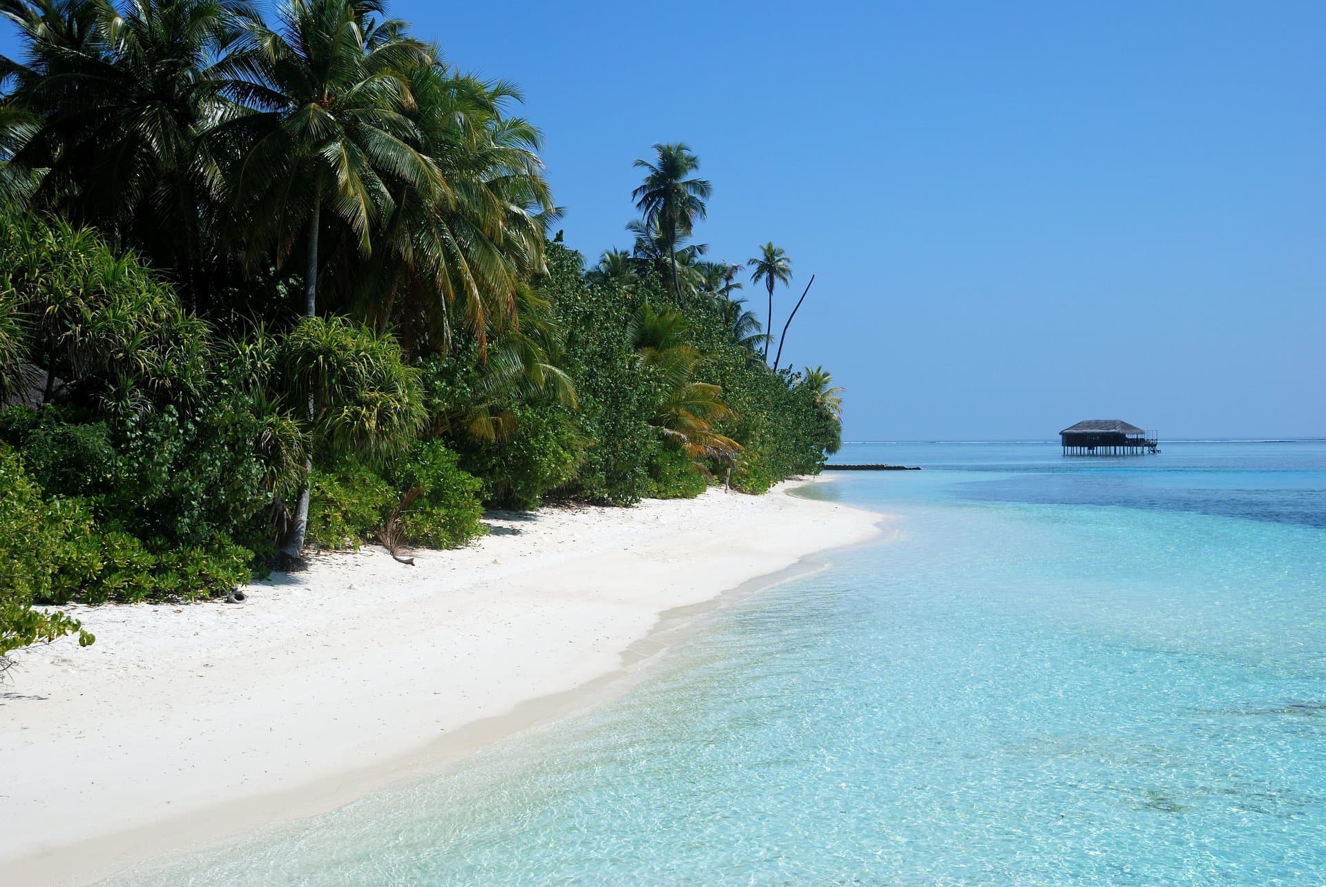 Zanzibar Beaches